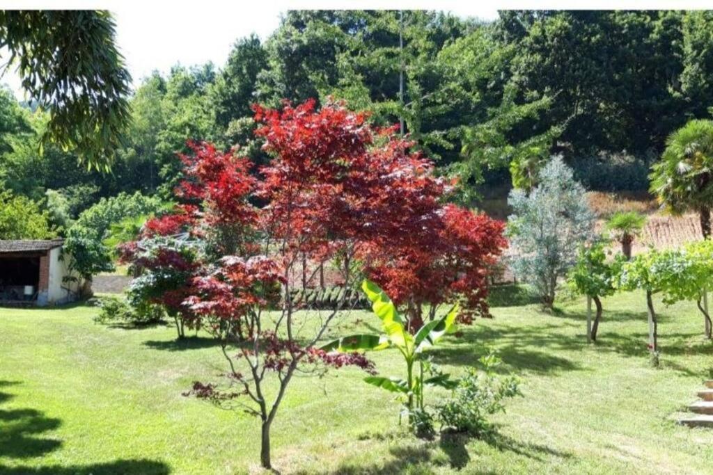 코스티글리올살루초 Istanti - Menta 아파트 외부 사진